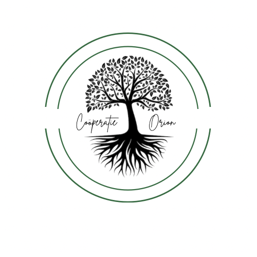Orion Logo